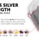 Peru's Silver Mining Strength
