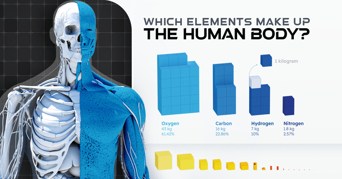 What Chemical Elements Make up the Human Body?