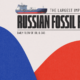 This graphic highlights the largest importers of Russian fossil fuels, based on the daily flow of oil and gas