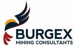 burgex_logo